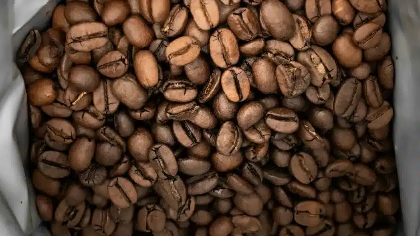 O governo de SP busca incentivar o cultivo do café Canephora