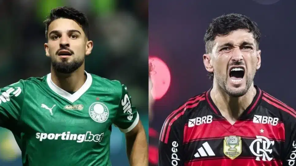 Palmeiras e Flamengo fazem a final da Libertadores