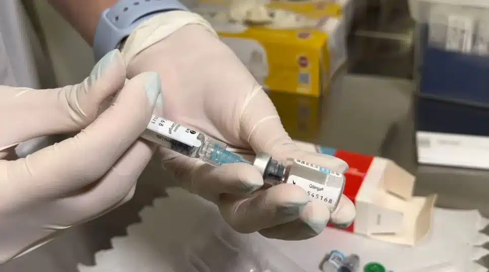 Vacina Qdenga, do laboratório japonês Takeda, contra dengue