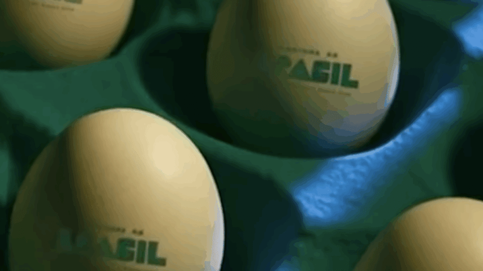 "Brasil de casca grossa" é o lema da campanha