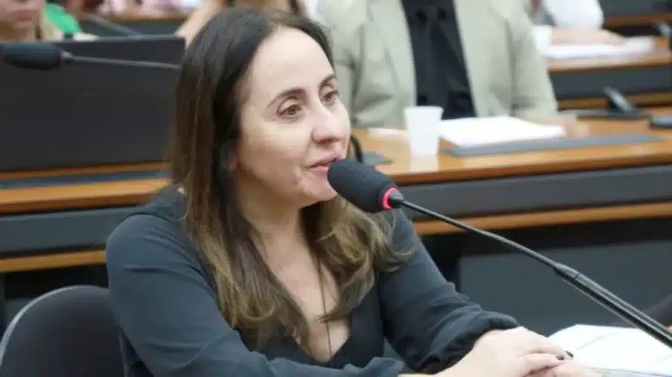 Deputada Adriana Ventura (Novo)