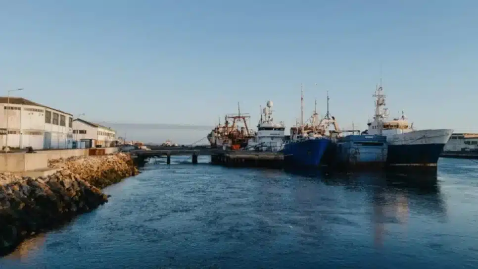 Barcos de pesca atracados em porto em Aveiro (Portugal)