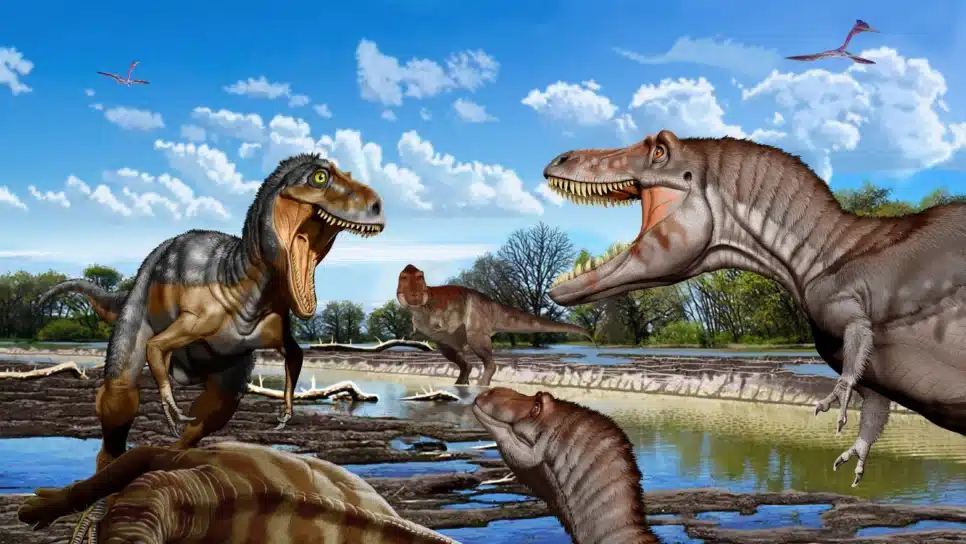 Ilustração mostra confronto do Cretáceo Superior entre um Nanotyrannus adulto (à esquerda) e um T. rex jovem