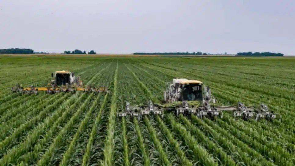 Agropecuária registrou 10% de alta, o maior entre os principais setores da economia