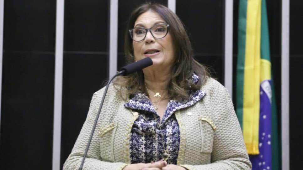 O projeto apresentado pela deputada cria uma exceção na legislação atual de proteção de dados | Kayo Magalhães/Câmara dos Deputados