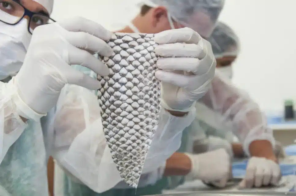 Pesquisa com pele de tilápia