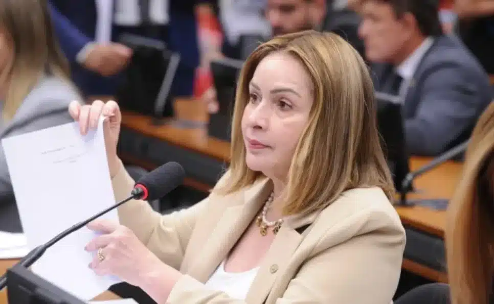 deputada Socorro Neri