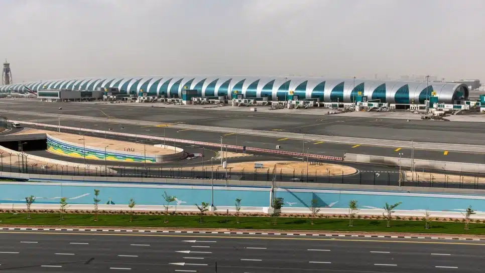 O urso que escapou causou um atraso no Aeroporto Internacional de Dubai.