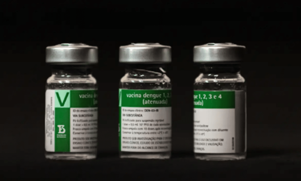 Aplicação da vacina da dengue do Butantan começará a partir do dia 17
