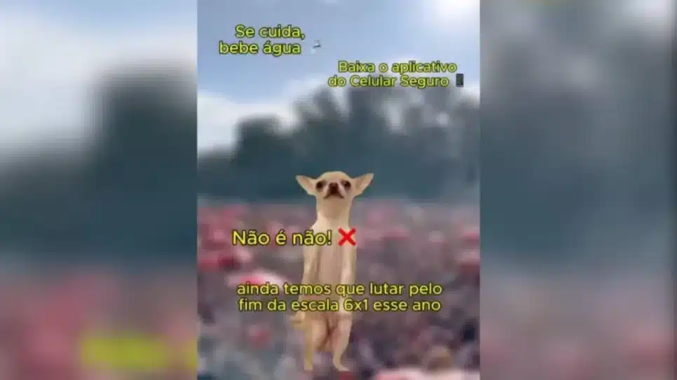 Governo Federal pede que pessoas se cuidem no Carnaval e lutem pela 6x1 depois da festa | Reprodução/ X @govbr - 13.fev.2026