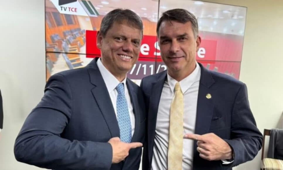 tarcísio de freitas e flavio bolsonaro
