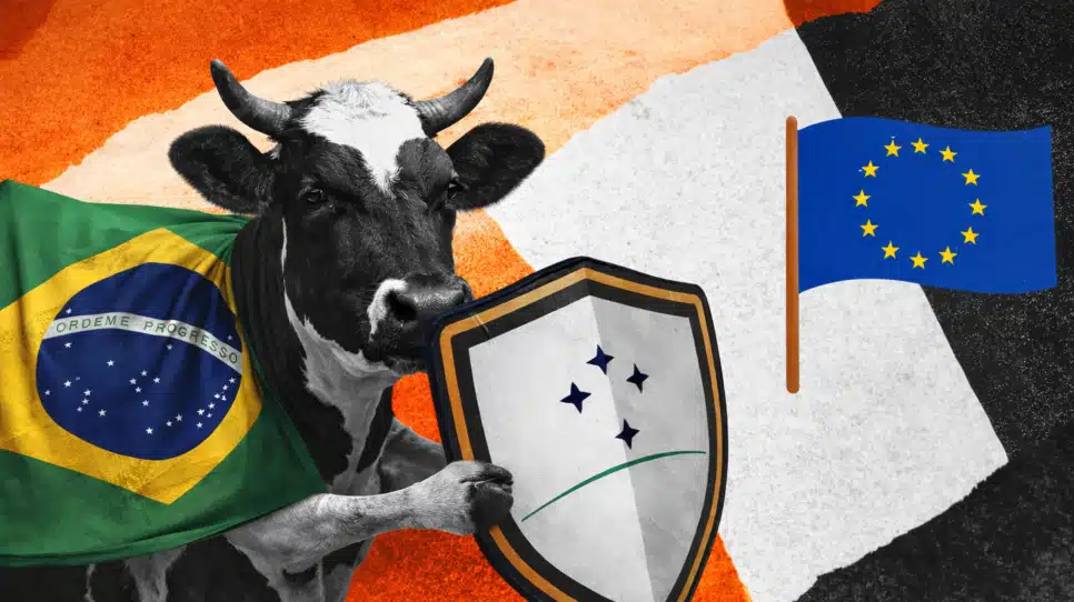 Ilustração de uma vaca com a bandeira do Brasil segurando um escudo com o símbolo do Mercosul atrás de uma bandeira da UE
