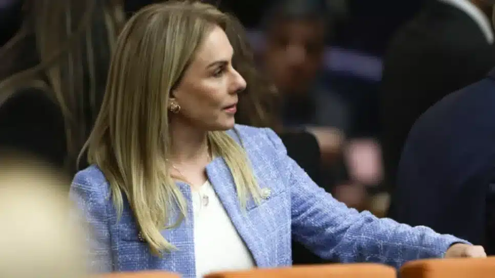 Viviane Barci de Moraes