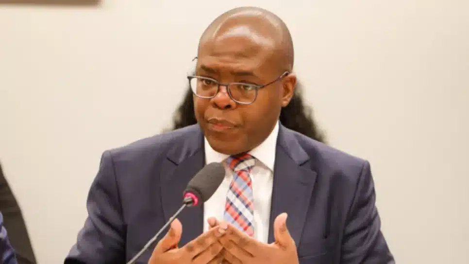 silvio almeida ministro dos direitos humanos e da cidadania